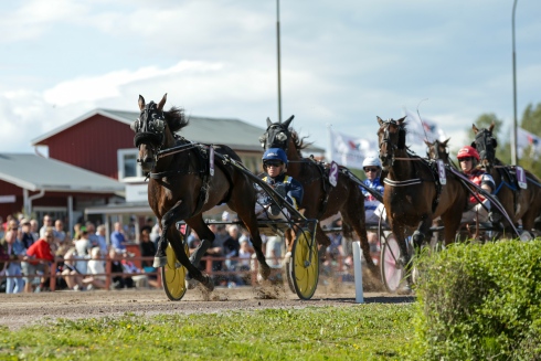 Milligan's School i ledningen i Midsommarloppet i Rättvik i somras. Foto: Lena Emmoth, TR Bild Foto av Lena Emmoth, TR Bild